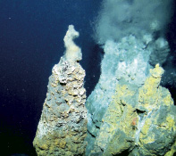 �u����ǂ��T�C�g�v�Ŋm�F���ꂽ�`���j�[�y�񋟁F�Ɨ��s���@�l�Ζ��V�R�K�X�E�����z�������@�\�z