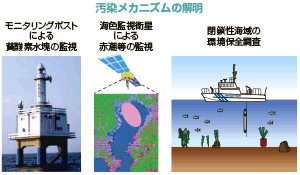 �����E��͌��ʂ̑�����