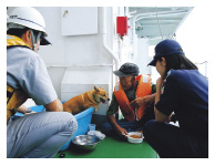 救助された住民と愛犬(巡視船「さつま」船上にて)