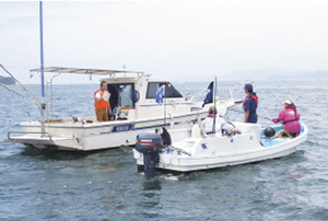 �K�D�w���̗l�q