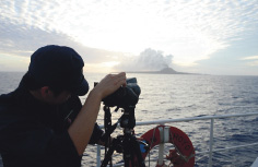 �C�m�h�В�����