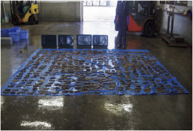 ���������Ȃ܂��i���G�j