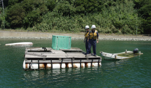 �p���E�p�D�̒���