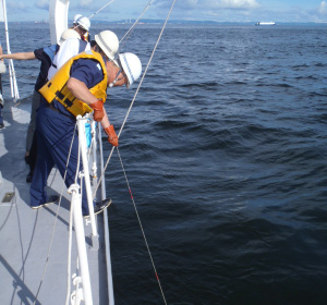 �����x�̑���