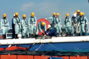 �I�C���t�F���X�W�����K