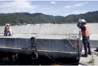 ��Ѝ`�p�̑���