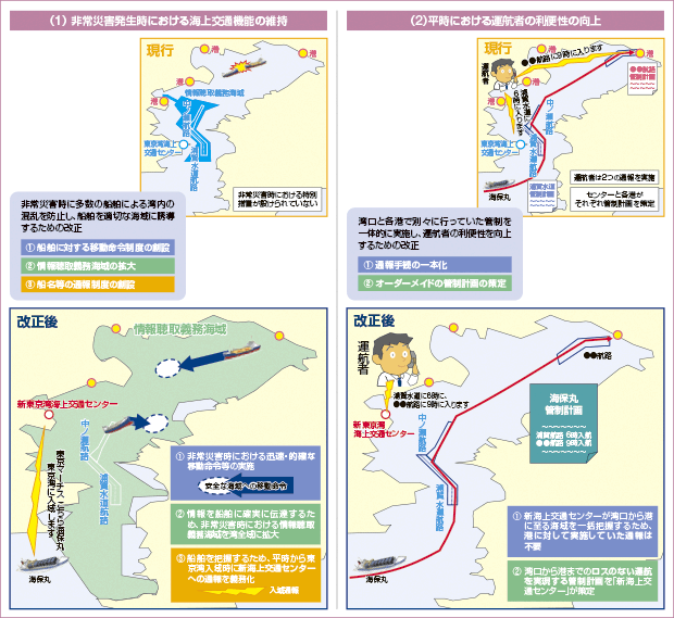 �C���ʈ��S�@���̈ꕔ����������@���̊T�v�Ƃ˂炢