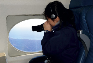 �C�m�h�В�����