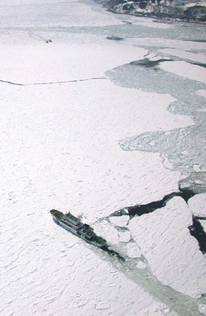 �~���Ɍ������u�Ă����v