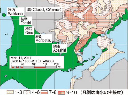 ���̓����̊C�X���z�}