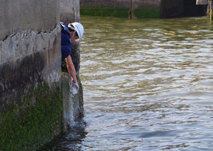 �r�����̐������