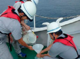 �C�m�����̒����i�\�ʍ̐��j