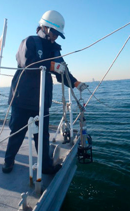 �����ϑ��̗l�q