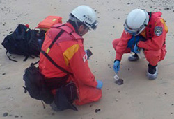 �����哇�ɂ�����@���h�����ɂ�����Y�����̒���