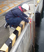 ���H���ʂ̗l�q