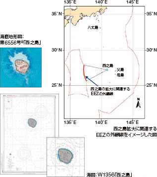 ���V���̊C�}