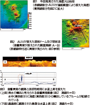 �P���J��̗l�q