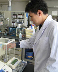 ���ʑ���