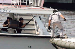 �����A�g�P��