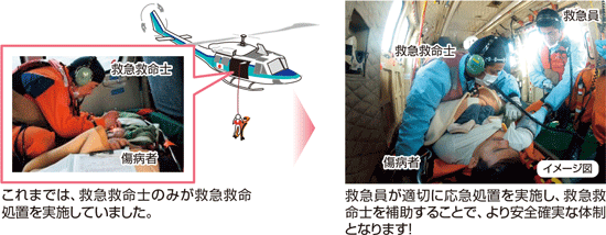 �~���E�~�}�\�͂̌���