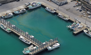 ���`���̔r�o���s���̕�����