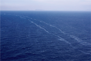 �D������s�@�ɔr�o���ꂽ������