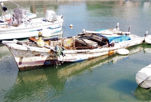 �s�@�ɕ��u���ꂽ�p�D