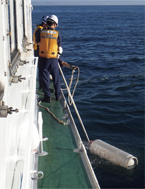 �Y���K�X�{���x�̉��