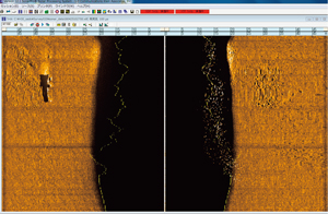 �T�C�h�X�L�����\�i�[�摜