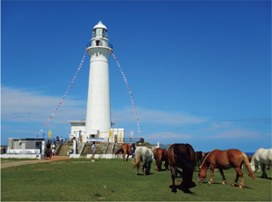 �Q�ώ��Ƃ��J�n���ꂽ�K���铔��