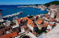 �X�v���b�g���s�X