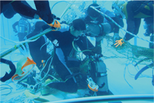 �������C