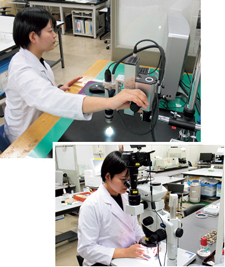 塗膜の表面検査-1