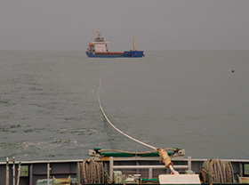 �����q��