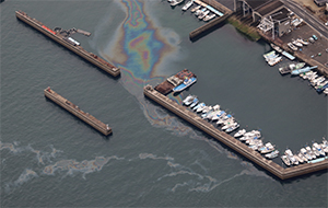 ���`���̕�����