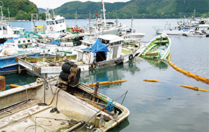 �s�@�ɓ������ꂽ�p�D