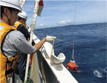 �C��n�k�ϓ��ϑ��̊�ǂ𓊓�����l�q