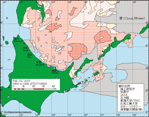 �C�X����