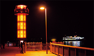 �����`�ʑ��h�g�瓔��