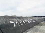 �����������S�[���W��