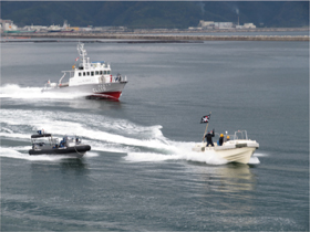 �e���Ή��P��