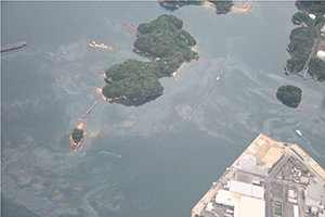 �������̏�