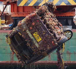 �ԗ������g����