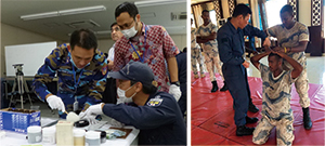 ���C���̗l�q