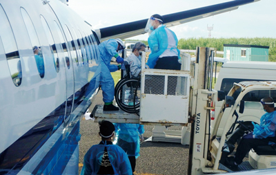 �������-1