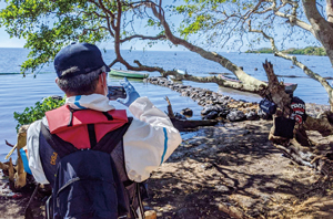 �C�m�����̒�����