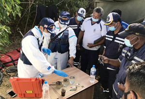 ���h�����C