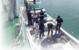 �����������D�̌��؍��