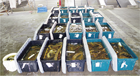 ���������Ȃ܂�