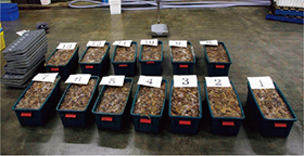 ���������Ȃ܂�